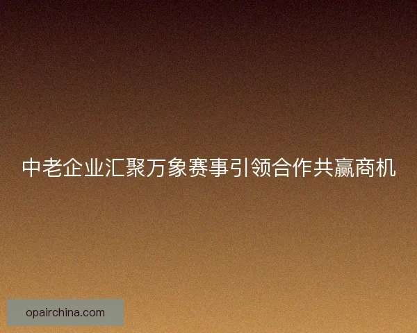中老企业汇聚万象赛事引领合作共赢商机